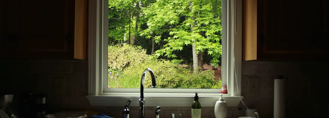 Photo by [Skye Jones](https://www.flickr.com/photos/picaddiction/5345535792/)